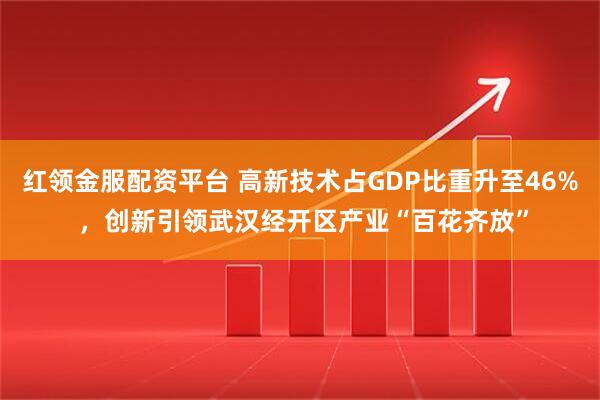 红领金服配资平台 高新技术占GDP比重升至46% ，创新引领武汉经开区产业“百花齐放”