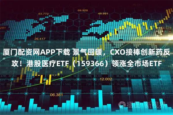 厦门配资网APP下载 景气回暖，CXO接棒创新药反攻！港股医疗ETF（159366）领涨全市场ETF